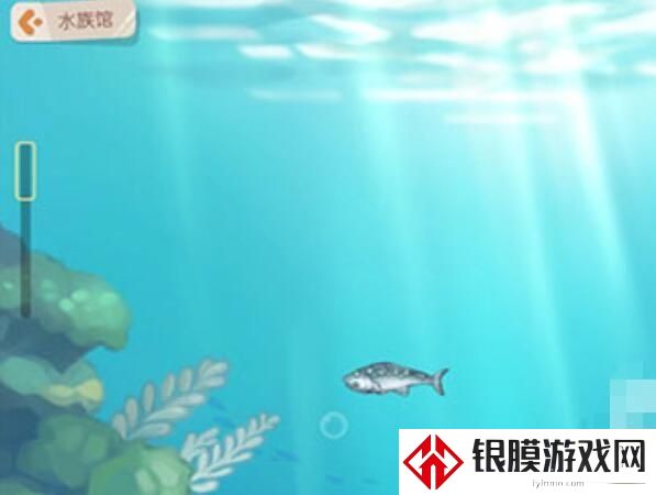 奥比岛手游水族馆怎么去 水族馆地图位置分享