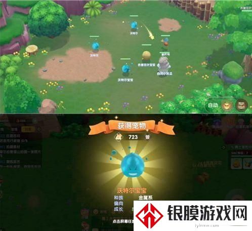 摩尔庄园精灵捕捉标准流程分享 精灵怎么捕捉