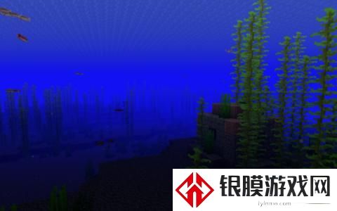 我的世界海洋群系介绍