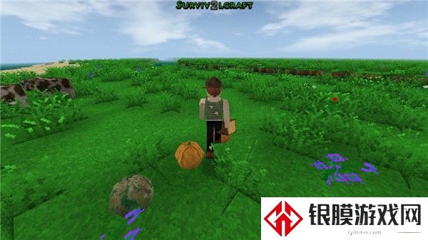 生存战争2.4