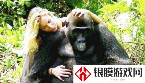 ZOOM动物人配人种到底在暗示什么?女性视角下的社会真相大揭秘