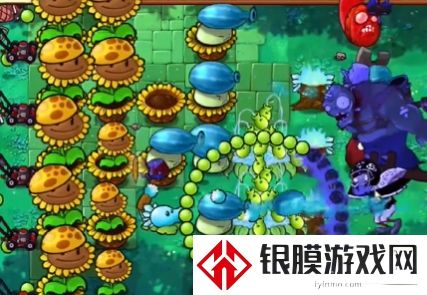 植物大战僵尸杂交版冒险模式第36关通关攻略