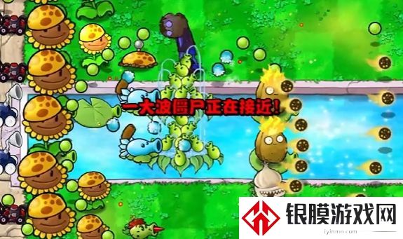 植物大战僵尸杂交版冒险模式第14关通关攻略