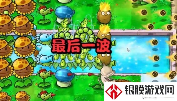 植物大战僵尸杂交版冒险模式第14关通关攻略