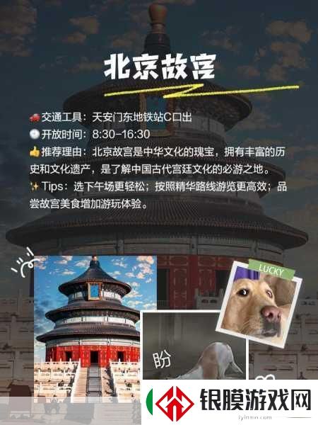 AAAAA级别
