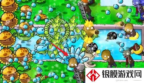 植物大战僵尸杂交版冒险模式第14关通关攻略