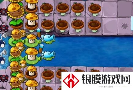 植物大战僵尸杂交版冒险模式第33关通关攻略