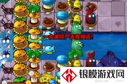 植物大战僵尸杂交版冒险模式第33关通关攻略
