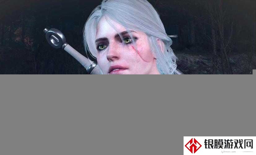 巫师3:狂猎104补丁更新必看!这些隐藏修复让我惊呼绝了!