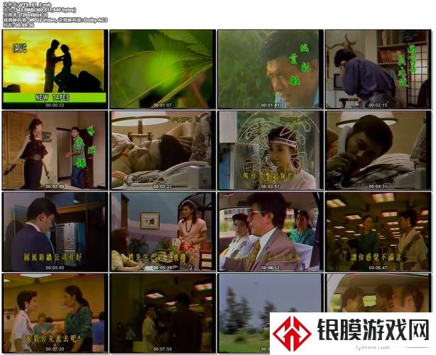 含羞草免费观看电视剧