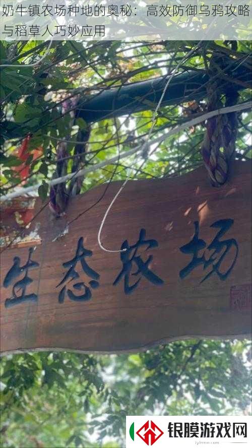 奶牛镇农场种地的奥秘