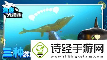 崩坏官服和B服有什么区别嘛