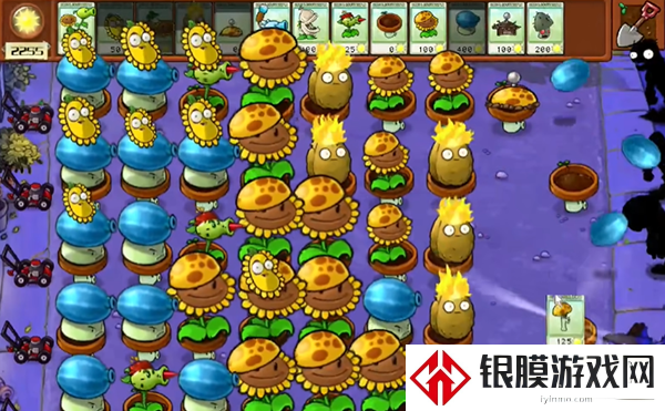 植物大战僵尸杂交版冒险第8关通关详细教程