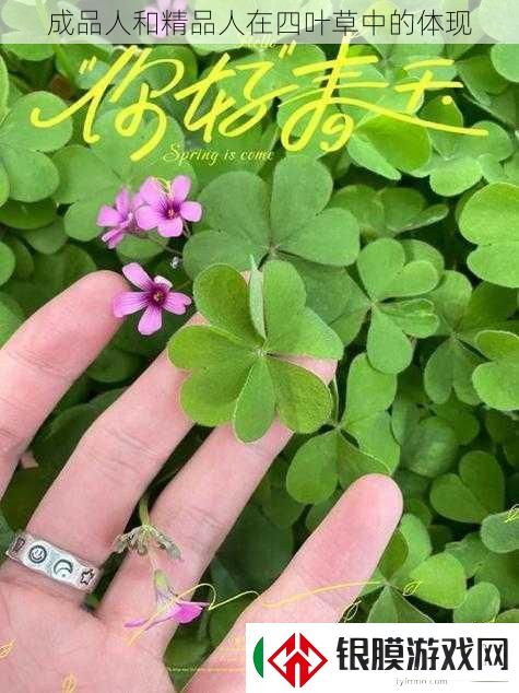 成品人和精品人在四叶草中的体现