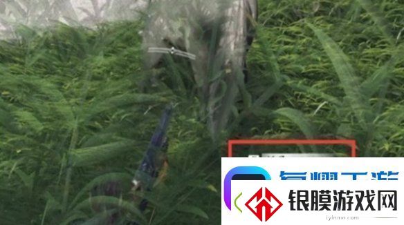 燕云十六声马怎么抓燕云十六声抓马技巧