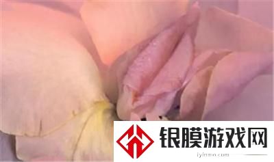 女人私密肥大