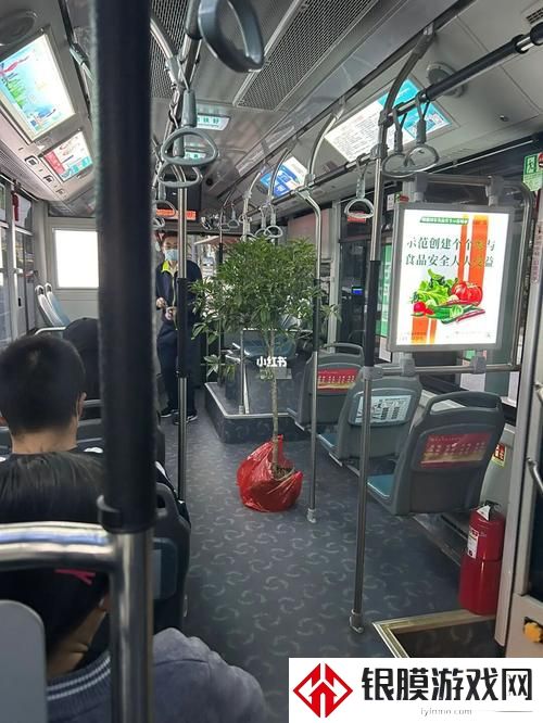杨大壮和田桂花的公交车