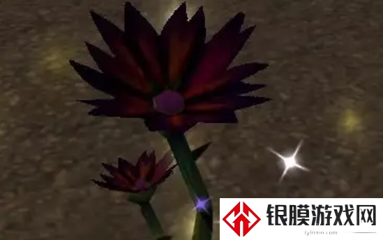魔兽世界纪念服黑莲花采集地点详细解析