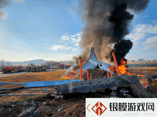 专家称韩国空难机场设计近乎犯罪！179人本不会死