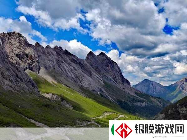 无人区码一码二码三码四码