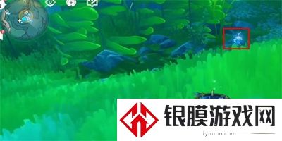 原神碧海撷波之章任务怎么做