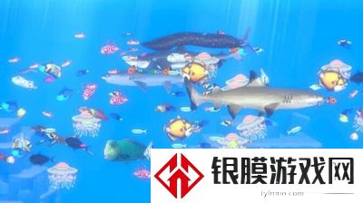 潜水员戴夫条纹四鳍旗鱼在哪里抓