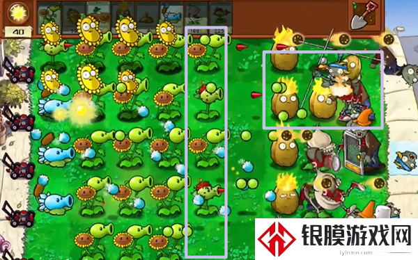 植物大战僵尸杂交版冒险模式第3关通关攻略