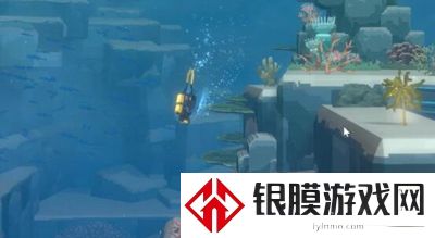 潜水员戴夫条纹四鳍旗鱼在哪里抓