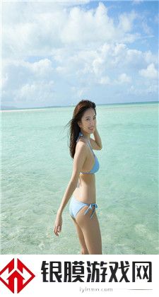 海加尔复仇者军需官：角色与奥秘